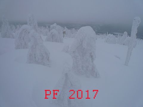 Foto 34